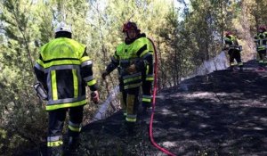 Incendie à Martigues : 5000m² de végétation brûlés