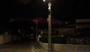 Un incendie ravage la pinède à Châteauneuf-les-Martigues