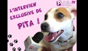 L'interview exclusive de Pita, la chienne de Nabilla  !