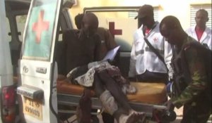 Cameroun: quatre tués dans un double attentat-suicide au Nord