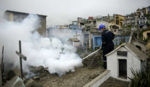 Virus Zika : l'Amérique latine craint pour ses nouveaux-nés