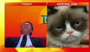 Un journaliste réalise une interview... de Grumpy Cat !