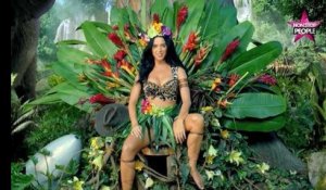 Katy Perry : Reine de l'année 2013