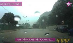 Buzz : Un miraculé à Taïwan