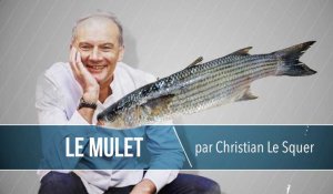 Comment faire aimer le mulet, avec Christian Le Squer ? 