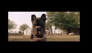DOGS - Teaser - Prochainement au cinéma