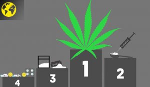  Infographie animée : faut-il légaliser toutes les drogues ?