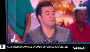 Alex Goude raconte les conséquences de son coming out dans Le Grand 8