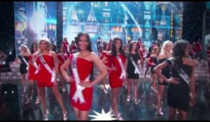 Miss Univers 2015 - Camille Cerf : Grande favorite du concours ? (Vidéo)