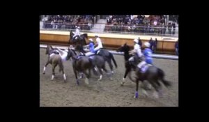 Horse Ball à l'ENE Saumur le 22 et 23 novembre 2014