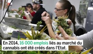 Etats-Unis : l'économie du cannabis en 10 chiffres