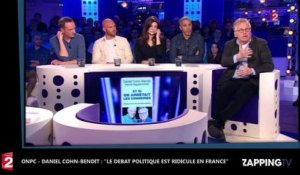 ONPC - Daniel Cohn-Bendit : "Le débat politique est ridicule en France"