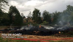 Florennes: le feu de sapins dégénère