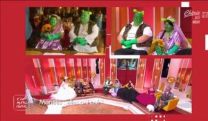 C'est mon choix : un couple belge s'est marié, déguisé en Shrek