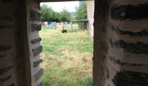 L'ancienne porcherie renaît de ses cendres au Bois Jugan