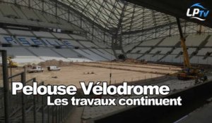 Pelouse Vélodrome : les travaux continuent