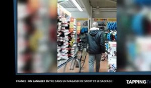 Charente-Maritime : Un sanglier ravage un Intersport, la vidéo buzz !