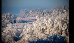 La vague de froid, en cinq villes