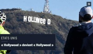 Les lettres "Hollywood" mystérieusement transformées en "Hollyweed" la nuit du Nouvel An