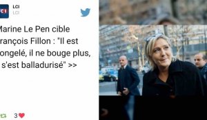 Marine Le Pen tacle François Fillon