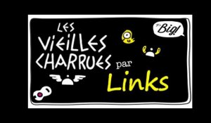 Festival Les Vieilles Charrues - LinksTheSun (On veut des chiffres)