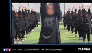Sept à Huit : l'entraînement brutal des enfants de Daesh (vidéo)