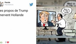 Europe : François Hollande répond sèchement à Donald Trump