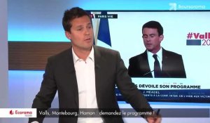 'Les programmes des candidats de la primaire socialiste sont rétrogrades et délirants !', selon Philippe Manière