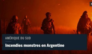 Incendies monstres en Argentine : 800 000 hectares partent en fumée