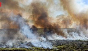 Un million d'hectares de pampa partent en fumée en Argentine