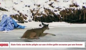 Etats-Unis: piégée sur rivière gelée, une biche est secourue par une femme