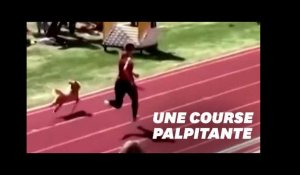 Un chien s’incruste dans une course de relais... et la gagne