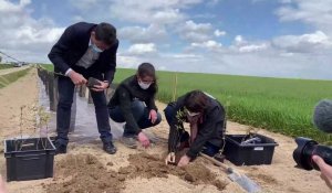 Geoffroy Roux de Bézieux et Christiane Lambert plantent des haies dans la Marne
