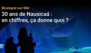 Les 30 ans de Nausicaá en chiffres