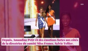 Miss Univers 2020 - Amandine Petit : Sylvie Tellier dévoile son classement sur Instagram