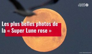 VIDÉO. Découvrez les plus belles photos de la « Super Lune rose »