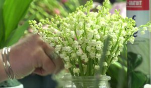 1er Mai : Le muguet en préparation chez les fleuristes