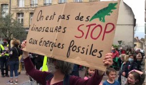 Saint-Omer: une centaine de personnes défilent contre une loi climat «vidée de son sens»