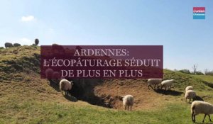 Ardennes: l'écopâturage a le vent en poupe