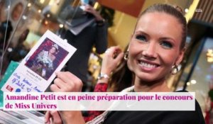 Miss Univers - Amandine Petit : Des rivalités entre les concurrentes ? Elle répond