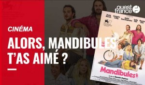 VIDÉO. Alors, Mandibules, le nouveau film de Quentin Dupieux, t’as aimé ?