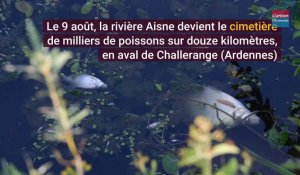 Pollution de l'Aisne par Nestlé : le bilan un an après