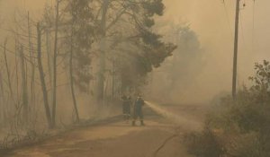 Grèce: les pompiers tentent d'arrêter la course folle de l'incendie d'Eubée (2)