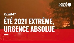 VIDÉO. Incendies, inondations, records de température : un été 2021 placé sous le signe de l'urgence climatique