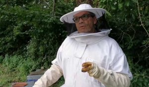 Pas de miel pour l'apiculteur Régis Quennesson à Clary