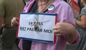 A Paris, huitième samedi de mobilisation contre le pass sanitaire