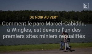 Le parc Marcel-Cabiddu, à Wingles, l’un des premiers sites miniers requalifiés