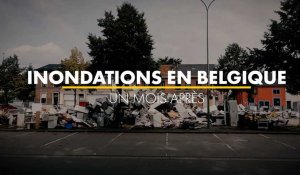 Un mois après les inondations en Belgique : la solidarité s'organise