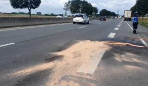 Fresnes-lès-Montauban : collision entre un poids lourd et un utilitaire sur la RD 950