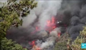 Au moins quatre morts dans des feux de forêt dans le sud de la Turquie
